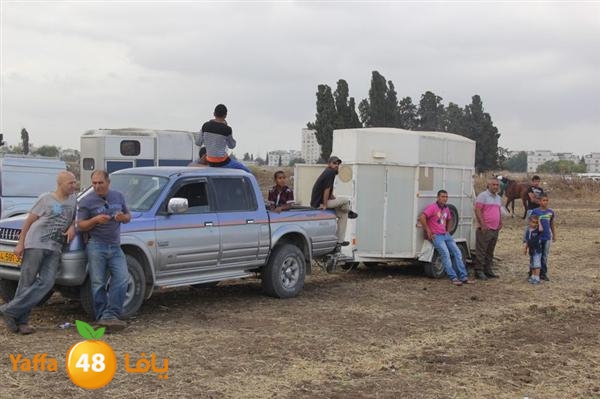 khoyoul lud 0610 (69).JPG